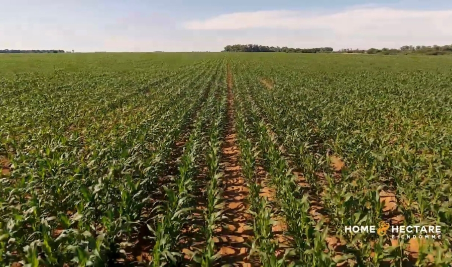 12 Bedroom Property for Sale in Bloemfontein Rural Free State